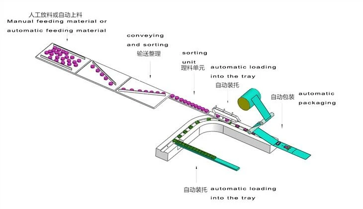 Moon Cake Automatic Feeding And Tray Loading Packing Line Baked Products Packaging Packing Line Machine Custom Made Packaging Project For Wholesale Market